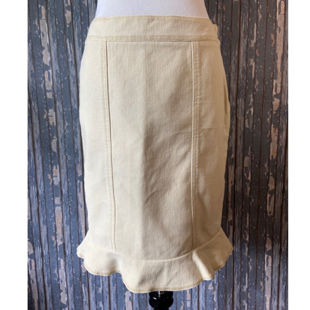 Club Monaco ruffle hem skirt